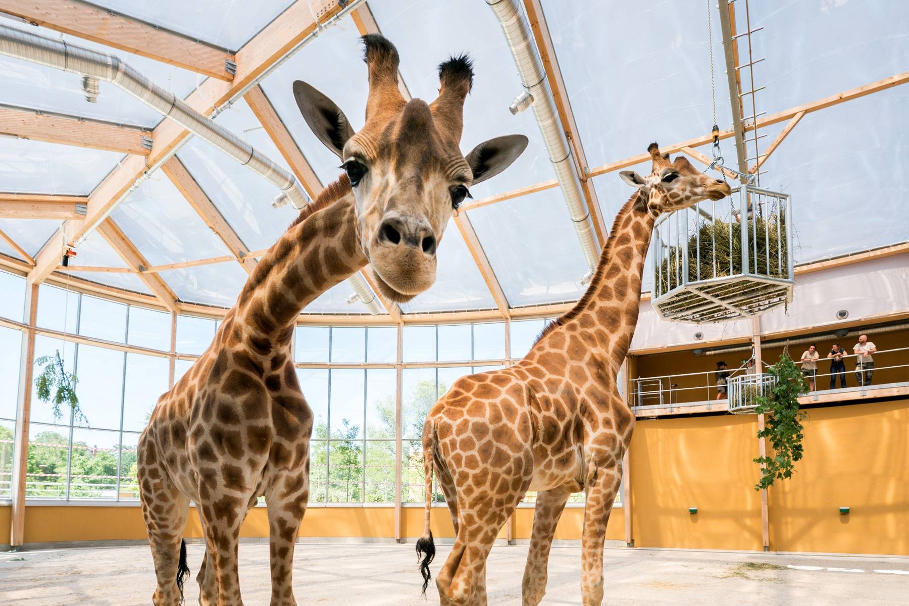 Parc zoologique et botanique de Mulhouse