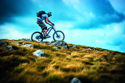 981ba13cdb95428d8e6e61dbf5fb24e1