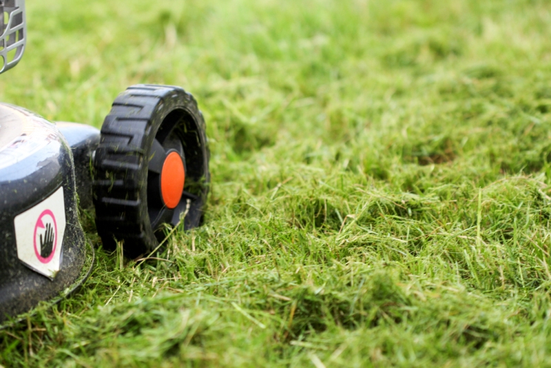 2b9c32dfb3e94a7693b9f7f77d43982f