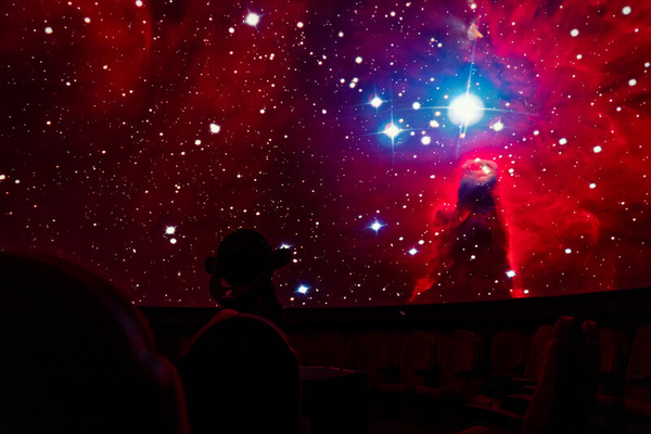 bc6c5137ce6745ac8a590beb4582e90a