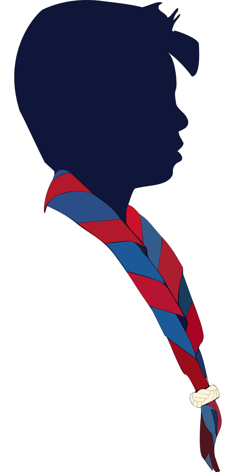 | Découverte du scoutisme  |