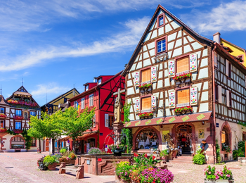 bf4fec6f4842421fbf9252194bc24461