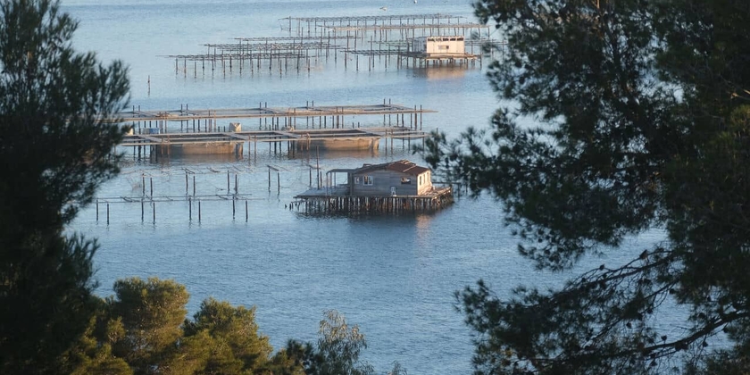 8ba58ea39f9544dba6b40363e000679f