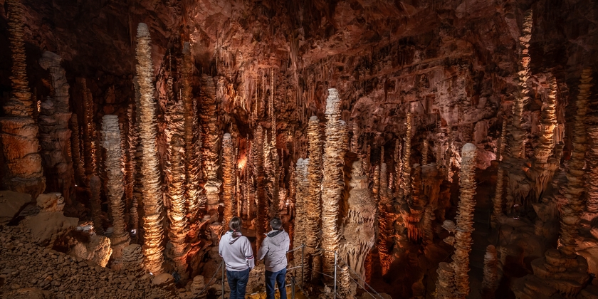 a49380c8cfaf41baa311ae187827ccd8