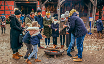 1dc03f3c8eea456794d7cd01de098eed