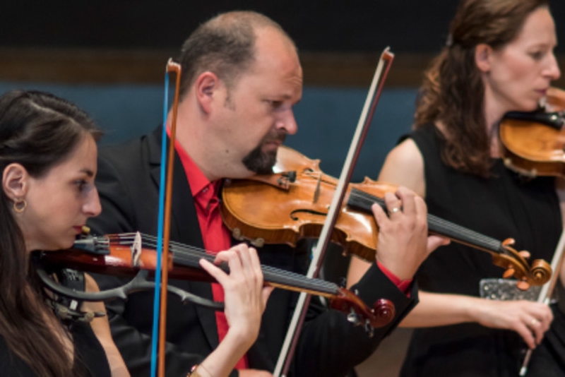 c7412e752d374a8b898fb37d5ebb10bf