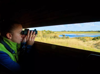 7699ea61ff0943df82653773997c266c