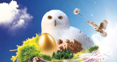 16f513a24df24161895f3cc9ce401582