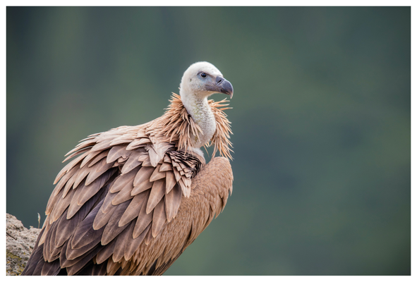 8953f78cfd104885990669c7005b2ec2