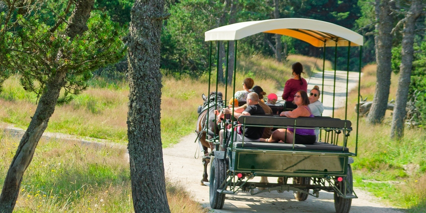 6928fa51070042739110658b6cea007a