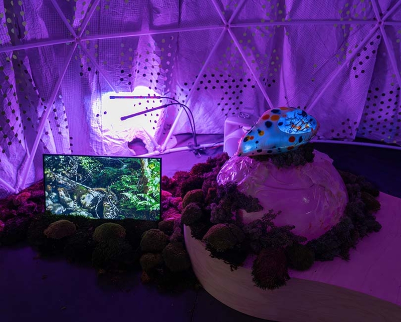 À L'ÉCOUTE DU VIVANT - BIOMIMÉTISME, ENTRE ARTS ET SCIENCES