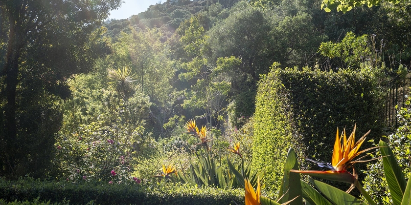 6157ab1849b3448d81900f97cdf3a167