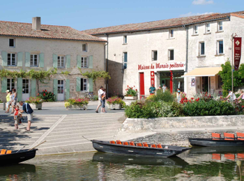 8ea0ba013f454e429443411bf9d72109