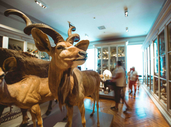 663d57e252db49188e622895cc3b8a3f