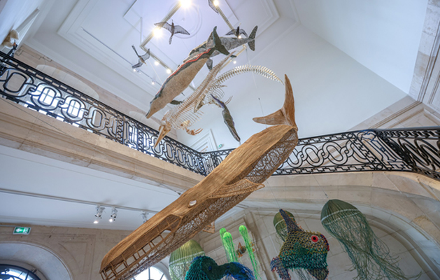 Muséum d'Histoire Naturelle