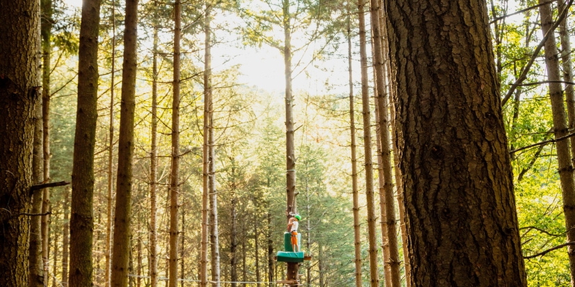 ae5b3aebd2be44fa98d98fdddcc72927