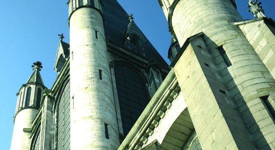 Visite Dijon, la Ville Aux 100 Clochers