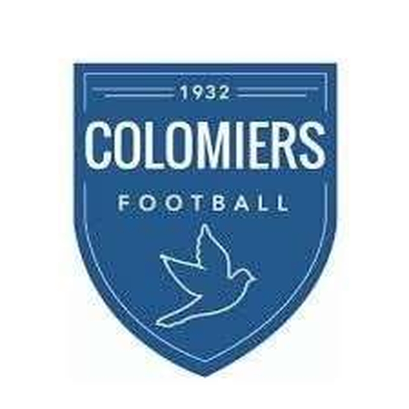 | Football : Colomiers / Onet le Château |