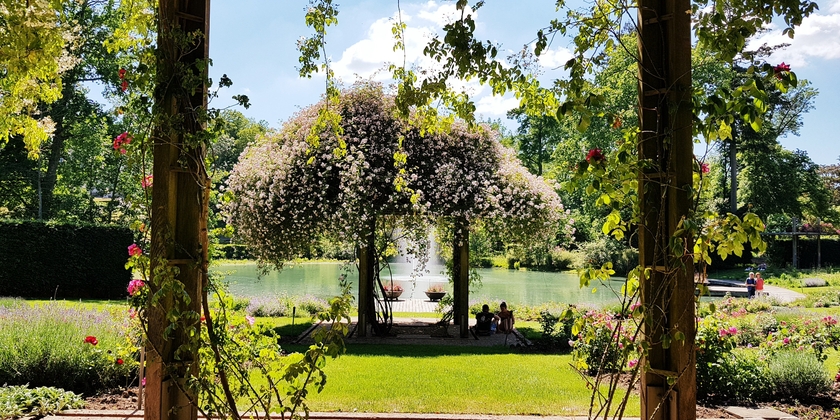 15f98b5808a74895a6ecc985a17189cc