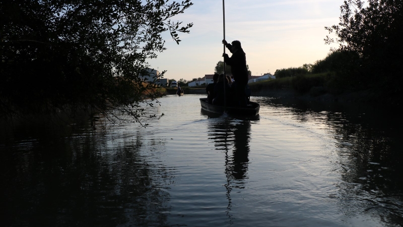 454cd1ae7ff54d17bc558528d70f2635