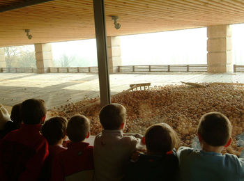 7e8d79edf38e4238ae406edbbd14fac6