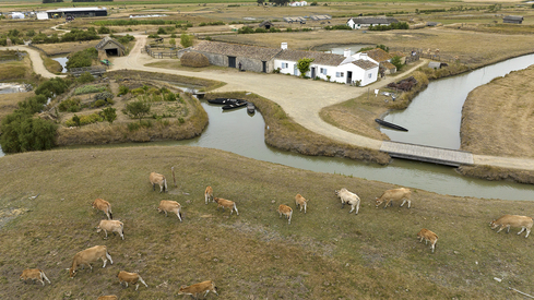 87fe4a63ae37465aa288cbb58c34c0bc