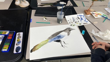 | Atelier de dessin naturaliste : aquarelles d'oiseaux |