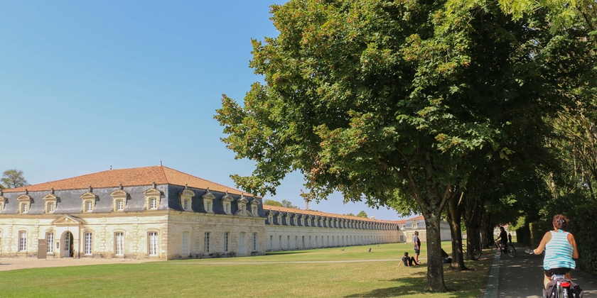 50bf7242034248929b316c6850f48e58