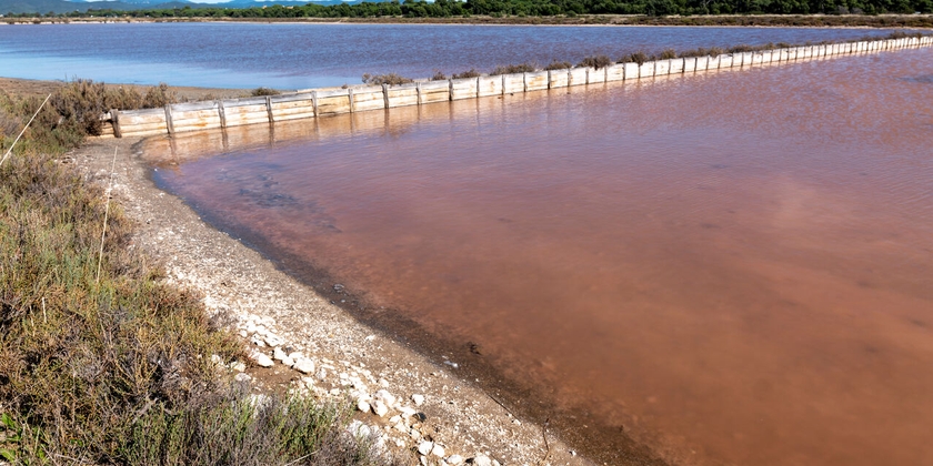 1784be9b52054ef9abe9c72367b7a586