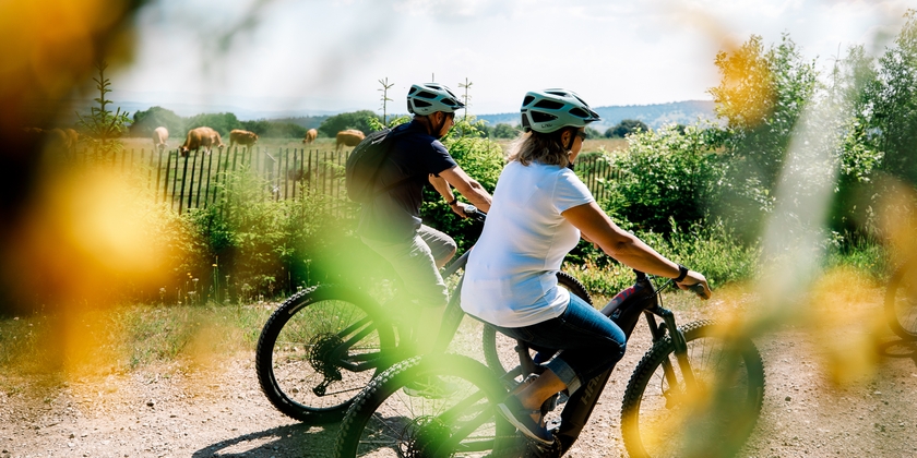 afddd5f21d87416e9879d00201fa568b