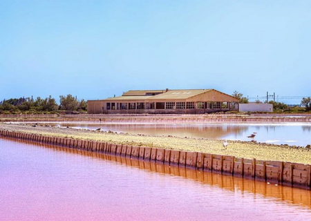 Le Salin de La Palme