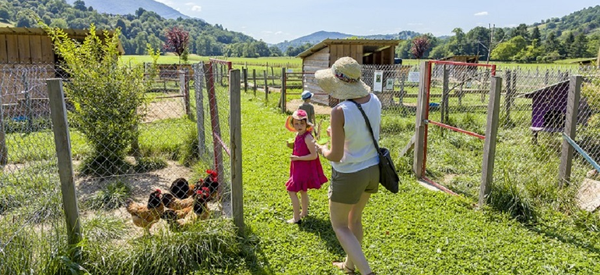 Découverte de la Ferme du Bon'air