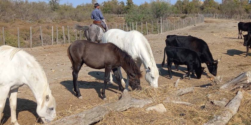 aefbaf47b6c344b7858d14b63861aea3