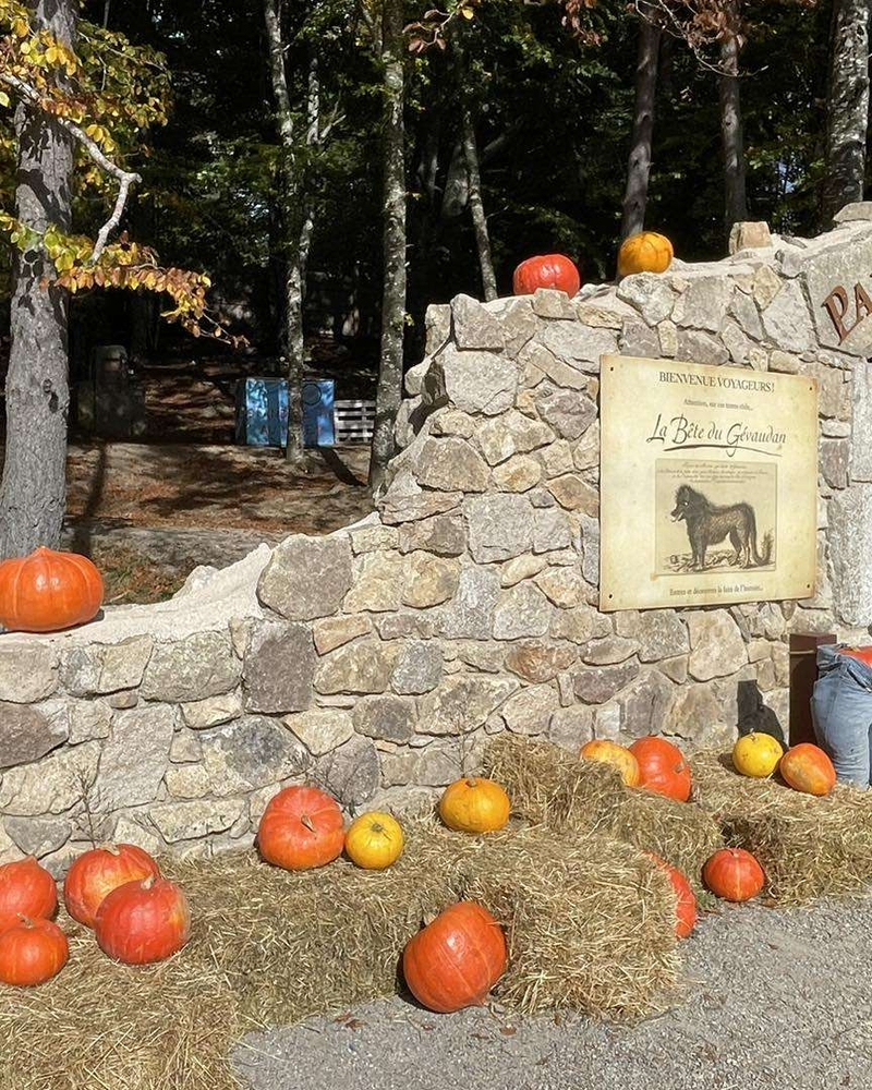 Go to the egg hunt in the heart of Parc Les Loups du Gévaudan!