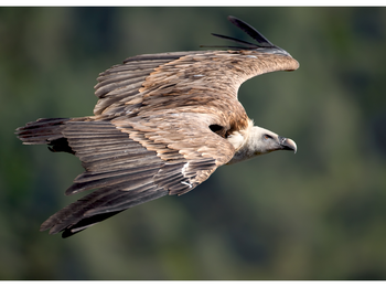 5b092a397e1c4d809bae3186297533b6