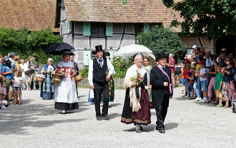 96d59686b76e4faab5b21d1e3b8af3ac