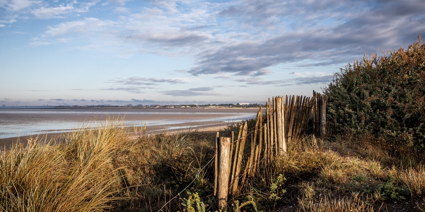 f8f30374c5f24e2dbb0afbb8f7cf2464