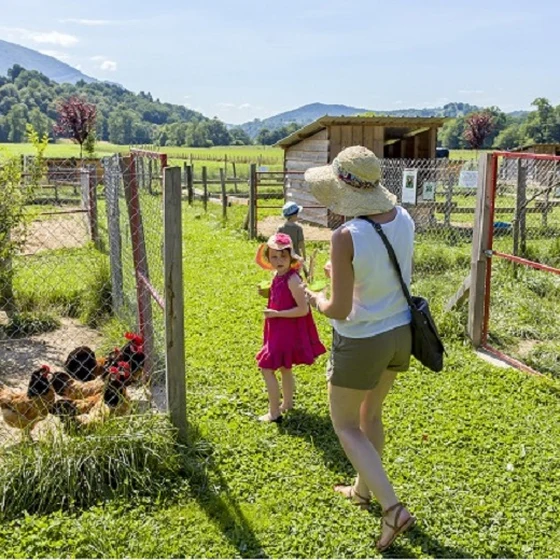 THE FARM ‘FERME DU BON'AIR’