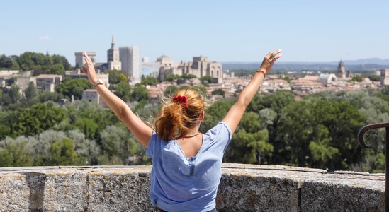 Visite guidée - Avignon en un clin d'oeil français