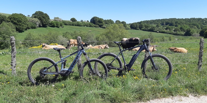 e8c3e6e2728348e6a8a6ddc7a310665f