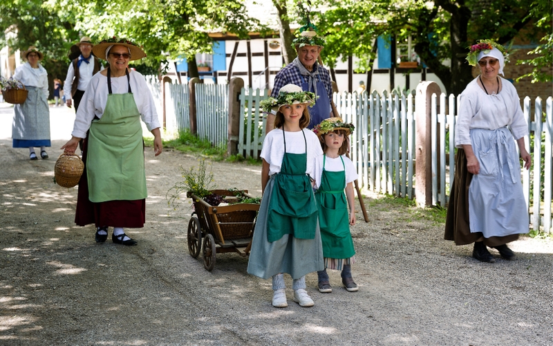 aa18e5a07f9b4a479b72a134697c7041