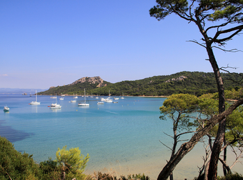 399c92b06a924717879c8df0e14c1663