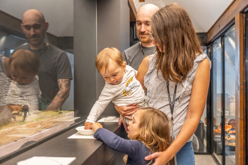 15195e9cf68d4c1580f08d79db26493a