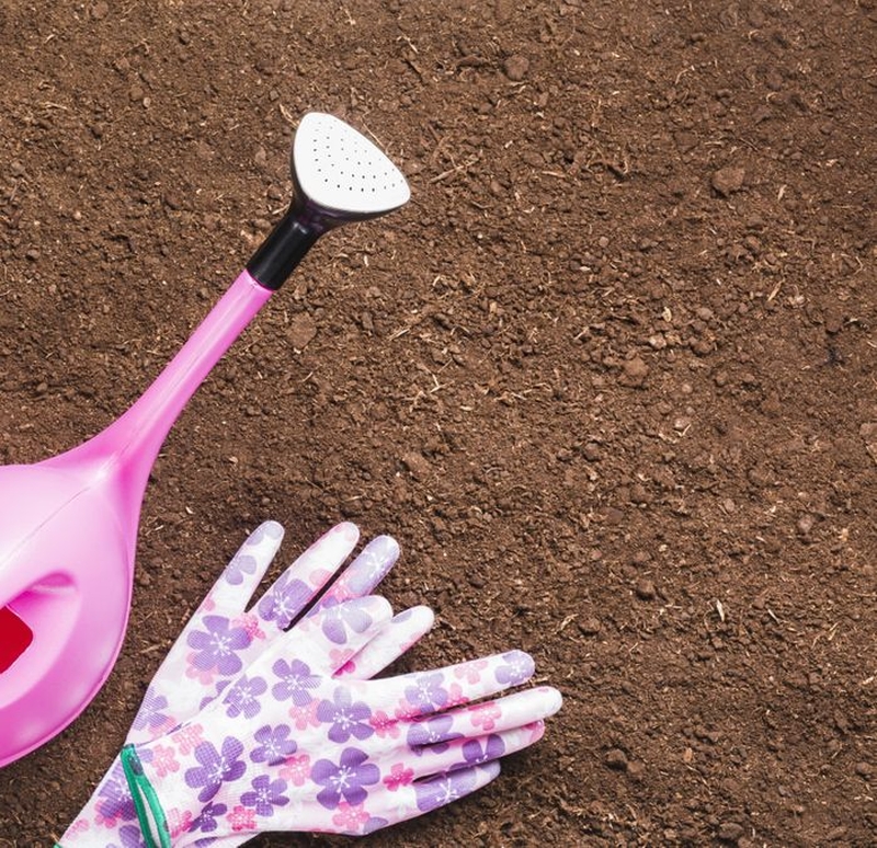 | J’apprends à nourrir naturellement le sol de mon jardin (c’est facile et gratuit)! |
