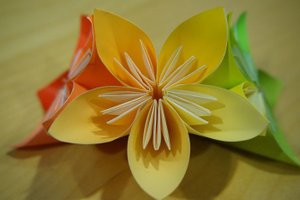 | Atelier créatif : origamis végétaux |