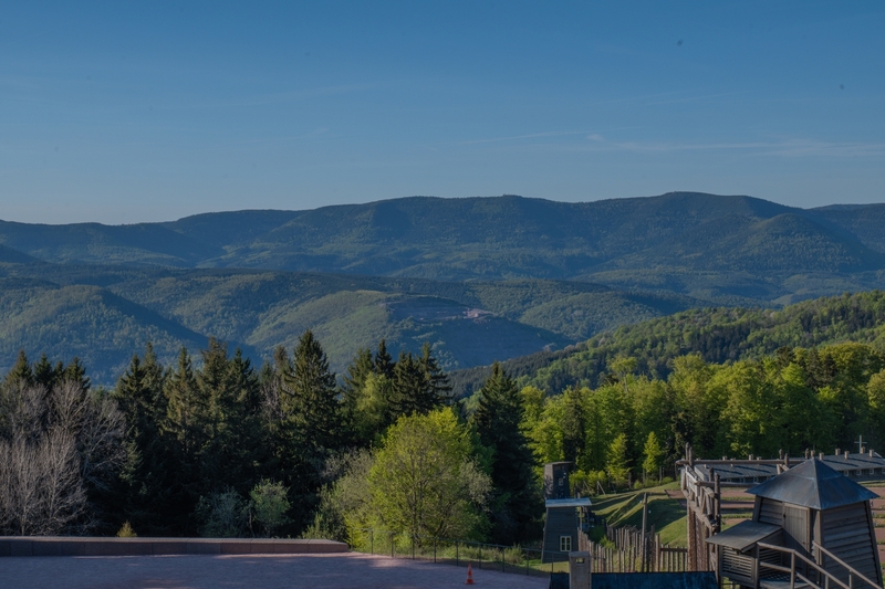 Exposition : Avant l’horreur, un autre Struthof