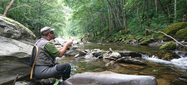 GUIDE DE PECHE MONT LOZERE