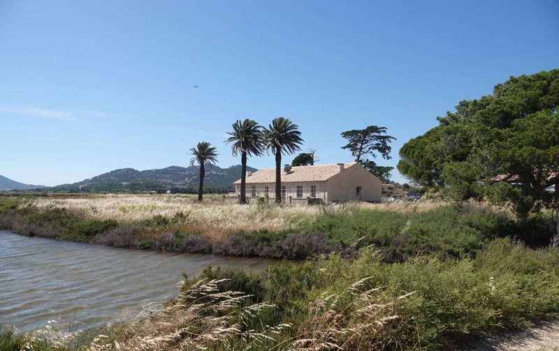 41946ac5a28e481d9540f8add79d9adb