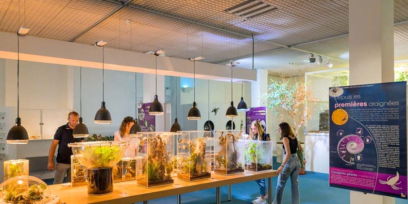 228012a3d85645dd9715c98bdad31546