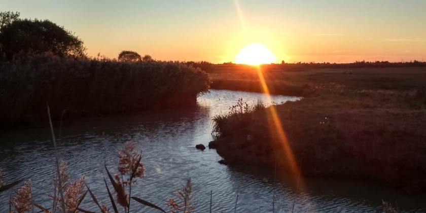 b5142631ab4e48b3b191e61ba93931bc